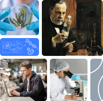 Get Instant Biology Answers with AI-Powered Biology Tutor
