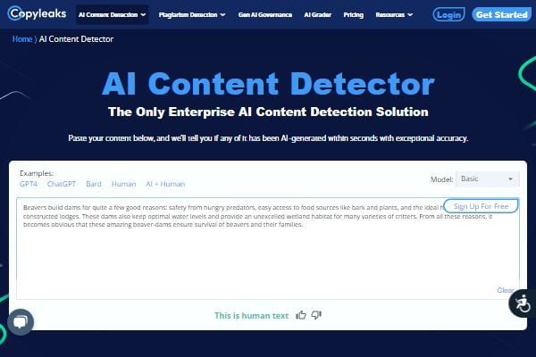 Copyleaks - Free AI SEO Tool